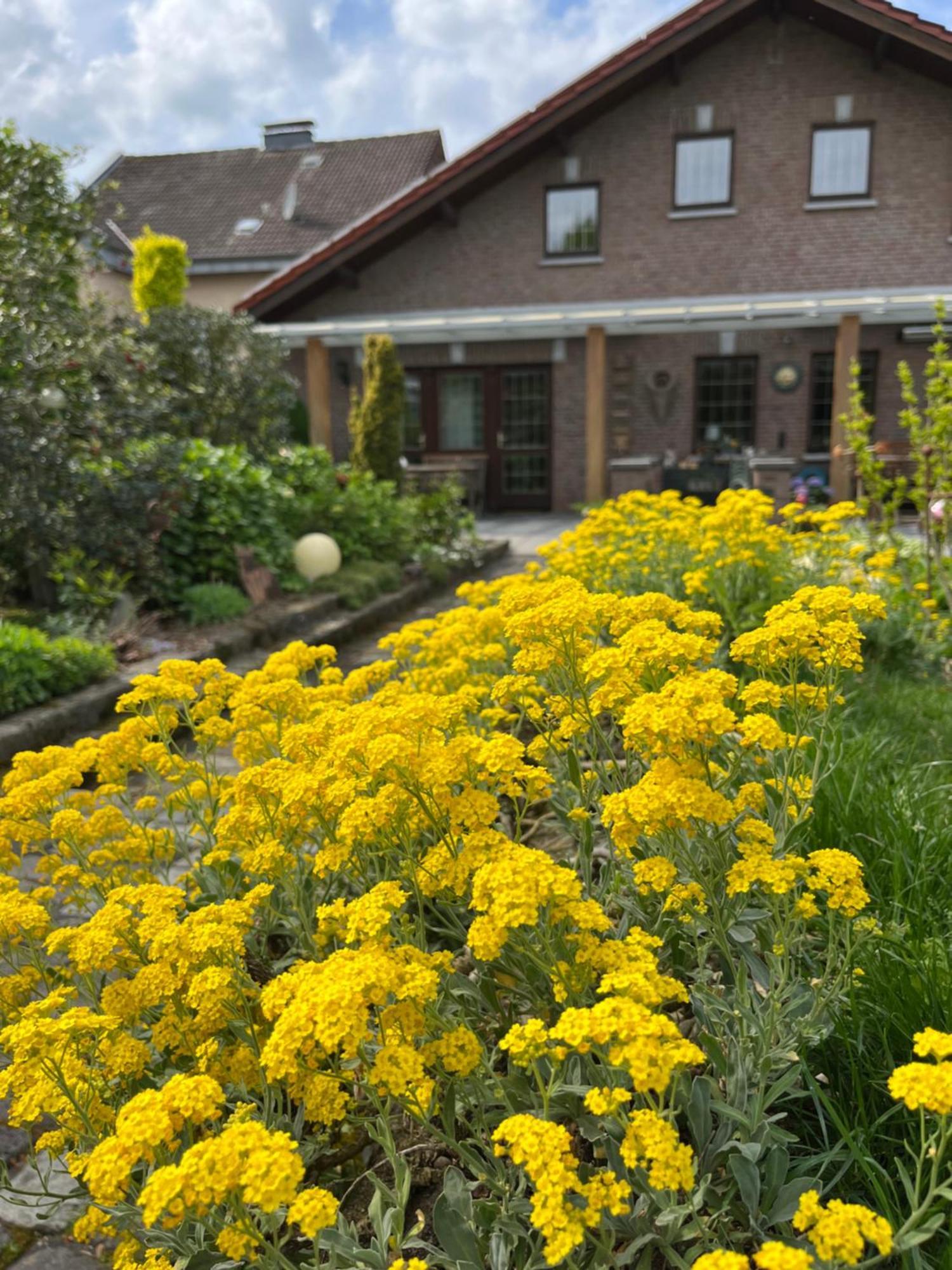 Ferienwohnung Jansen Selfkant Esterno foto